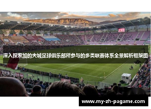 深入探索加的夫城足球俱乐部所参与的多类联赛体系全景解析框架图