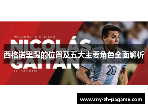 西格诺里踢的位置及五大主要角色全面解析