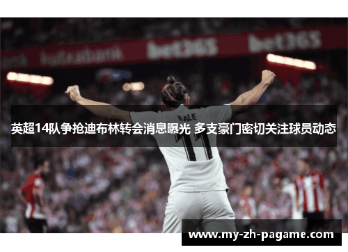 英超14队争抢迪布林转会消息曝光 多支豪门密切关注球员动态