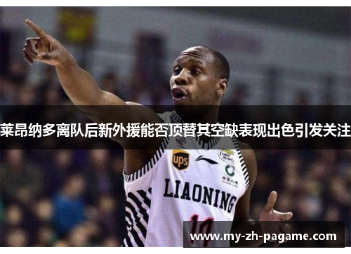 莱昂纳多离队后新外援能否顶替其空缺表现出色引发关注