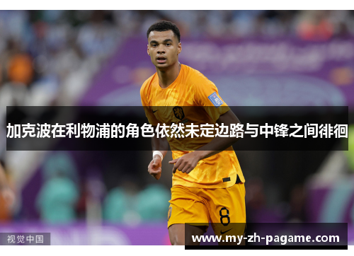 加克波在利物浦的角色依然未定边路与中锋之间徘徊