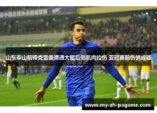 山东泰山前锋克雷桑遭遇大腿后侧肌肉拉伤 亚冠赛前伤情成疑